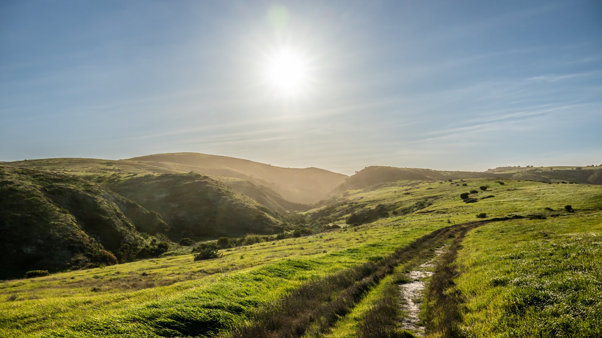 Sunny landscape in Sonoma County relevant for solar consulting